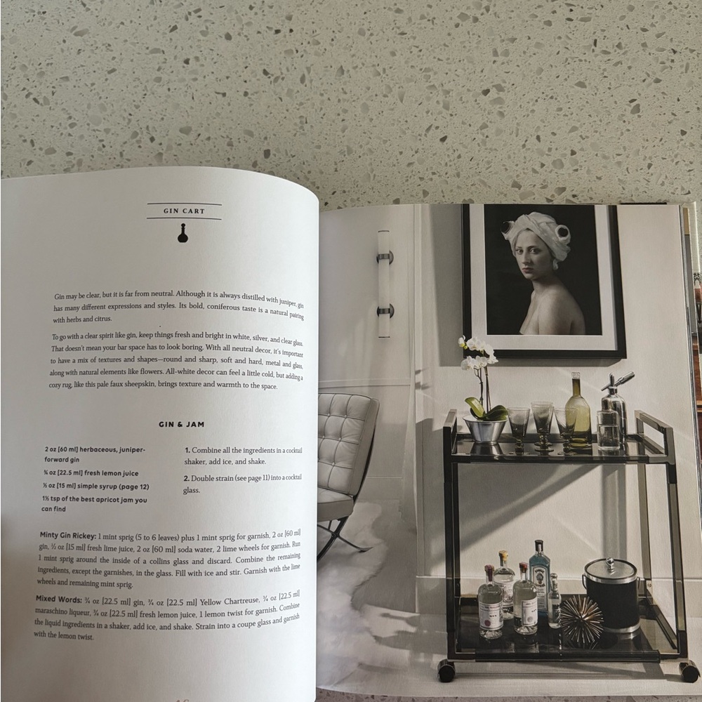 The Art of the Bar Cart Book - Picture 5 of 5